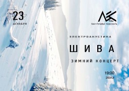 Зимняя электроакустика группы ШИВА 23 декабря в Лесу!