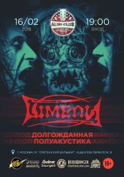 Шмели - долгожданная ПолуАкустика в столице!