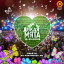 Wild Mint Festival received permission to host