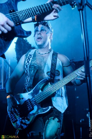 Скворцы Степанова (Ольга Махалова)