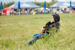 Открыта горячая линия Доброфеста