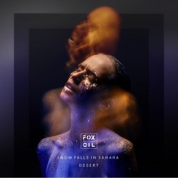 9 февраля Fox in Oil презентует свой новый альбом Snow Falls in the Sahara Desert