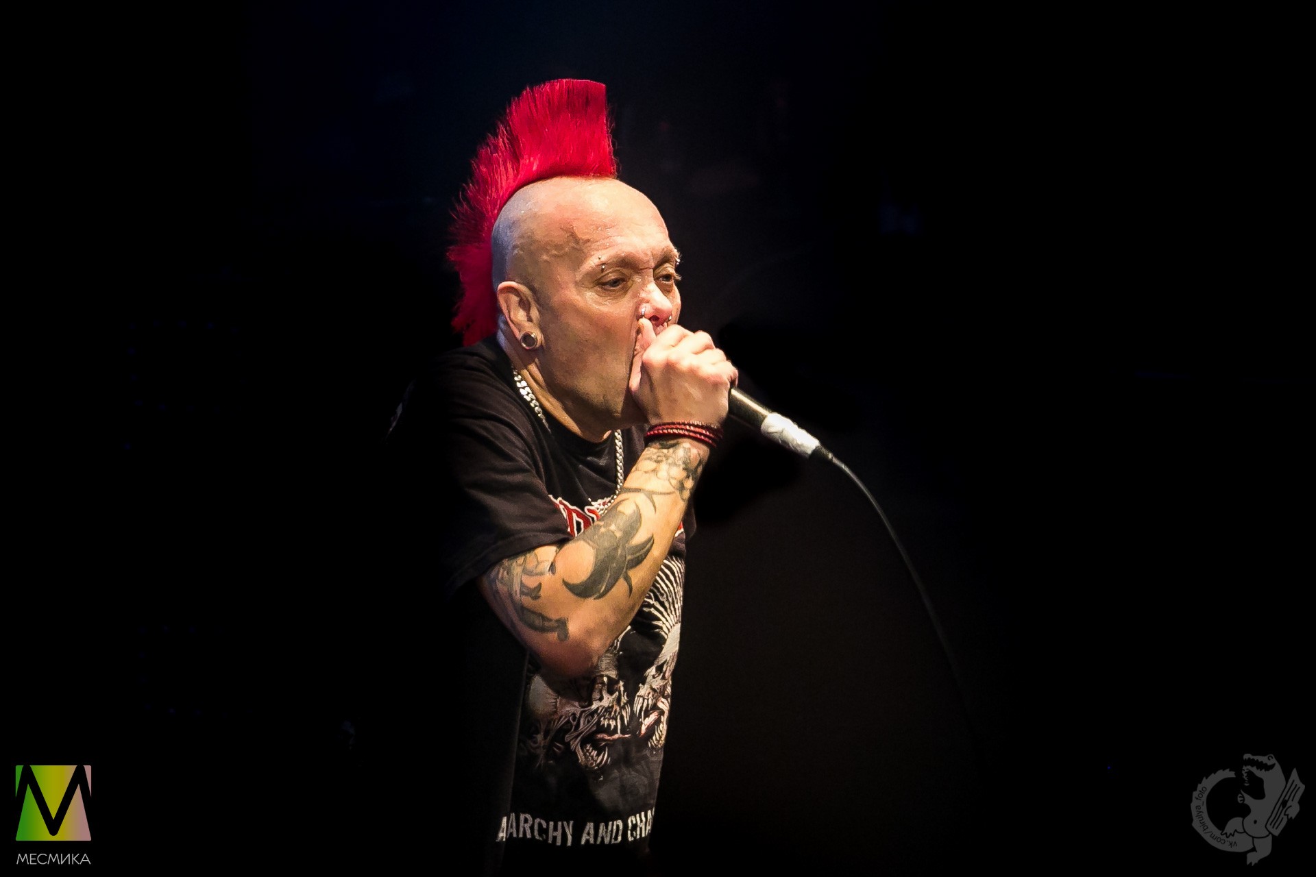 The Exploited