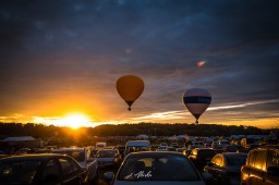 «Дикая Мята» – это три дня музыки, любви и свободы!