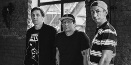 «Кирпичи» на «Дикой Мяте»!