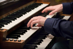 Битва Органов 27 ноября в Санкт-Петербурге