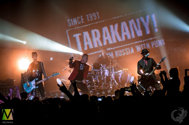 Tarakany returned to St. Petersburg: even more vivid, cynical and daring