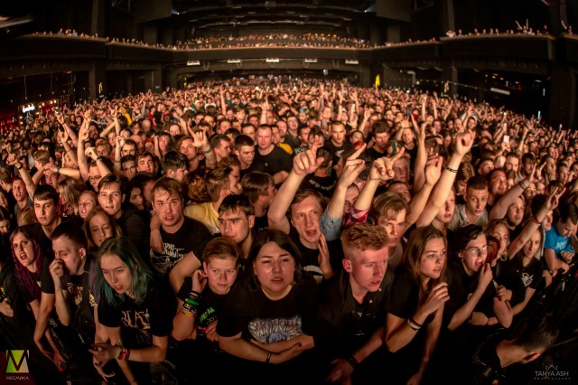 Фанаты группы "порнофильмы"