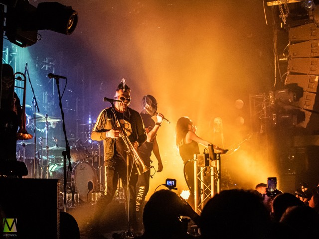 Пневмослон Зуб известного человека