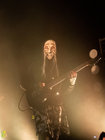 Пневмослон Зуб известного человека