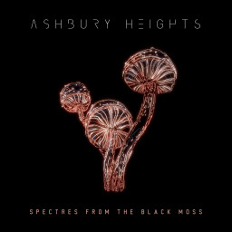 Ashbury Heights выпустили новый видео-сингл  'Spectres From the Black Moss'