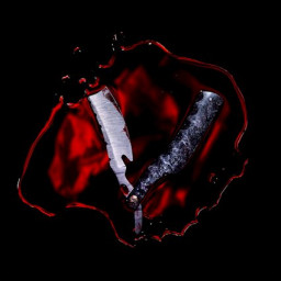 BLACK VEIL BRIDES - “Bleeders” (Spinefarm, Alt-Metal, 21.06.2024)