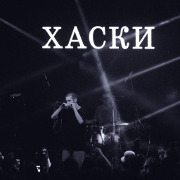 Хаски 30 ноября в Ярославле