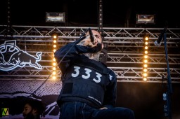 FEVER 333